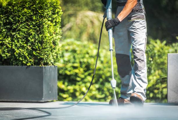 Best House Exterior Washing  in East Hazel Crest, IL