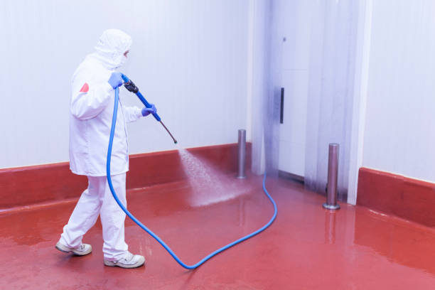 Best Oil Spill Cleanup  in East Hazel Crest, IL