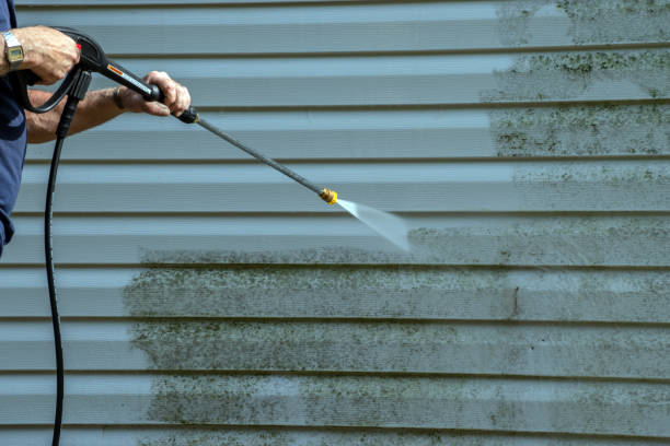 Best Patio and Deck Pressure Washing  in East Hazel Crest, IL