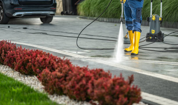 Best Gutter Cleaning  in East Hazel Crest, IL